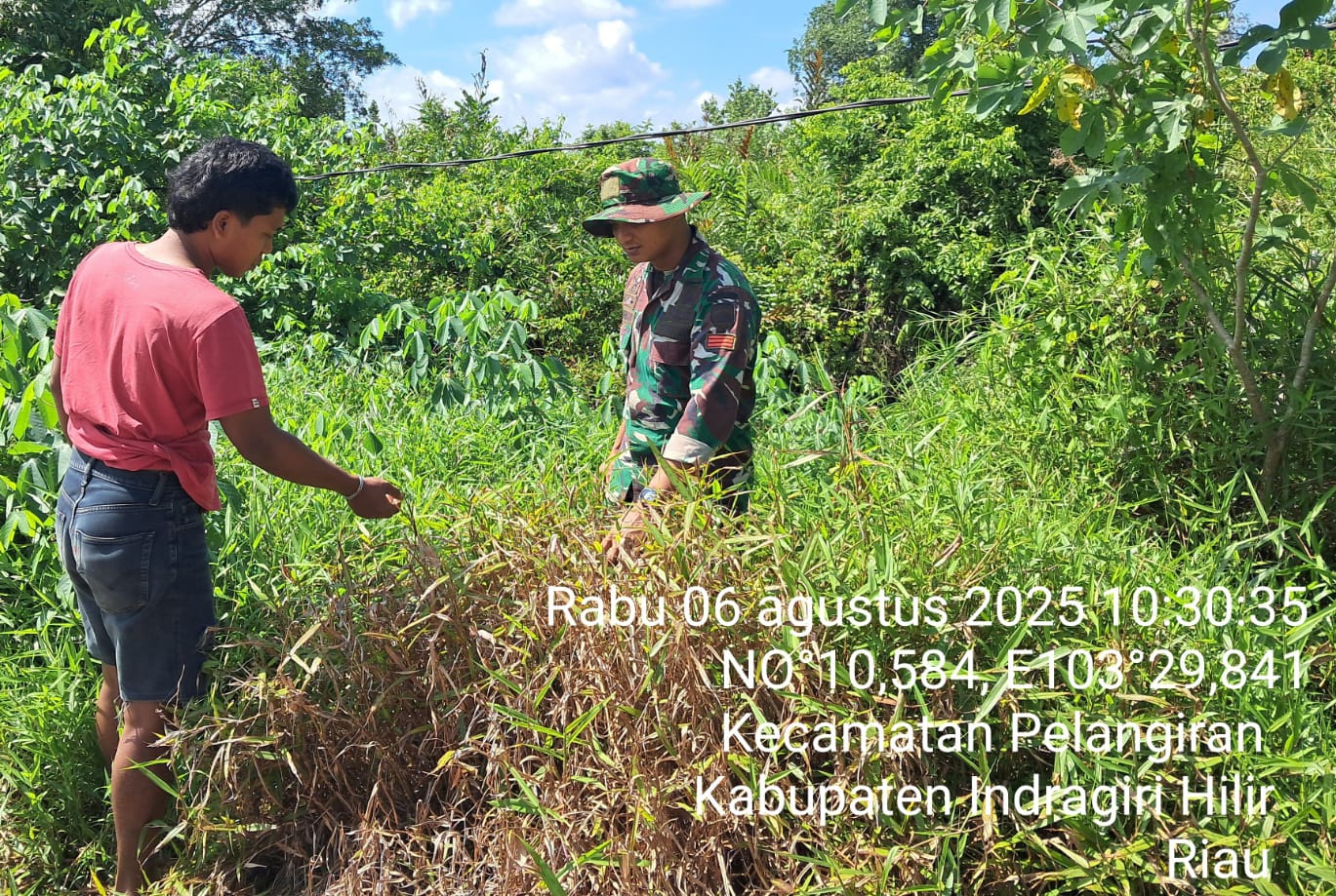 Cegah Karhutla, Babinsa Koramil 10/Plg Gencarkan Patroli dan Sosialisasi ke Warga