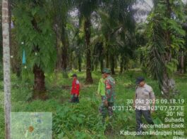 Babinsa Koramil 02/TM Laksanakan Patroli Tapal Batas di Desa Suhada, Pastikan Wilayah Aman dan Bebas Titik Api