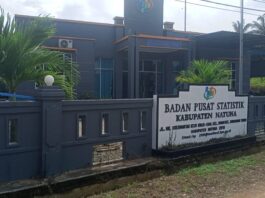 BPS Catat Ekonomi Natuna Naik 18,70 Persen pada Triwulan II-2025, Didominasi Sektor Migas